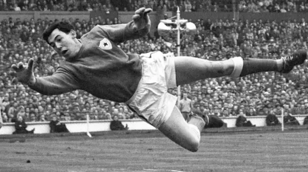 gordon banks